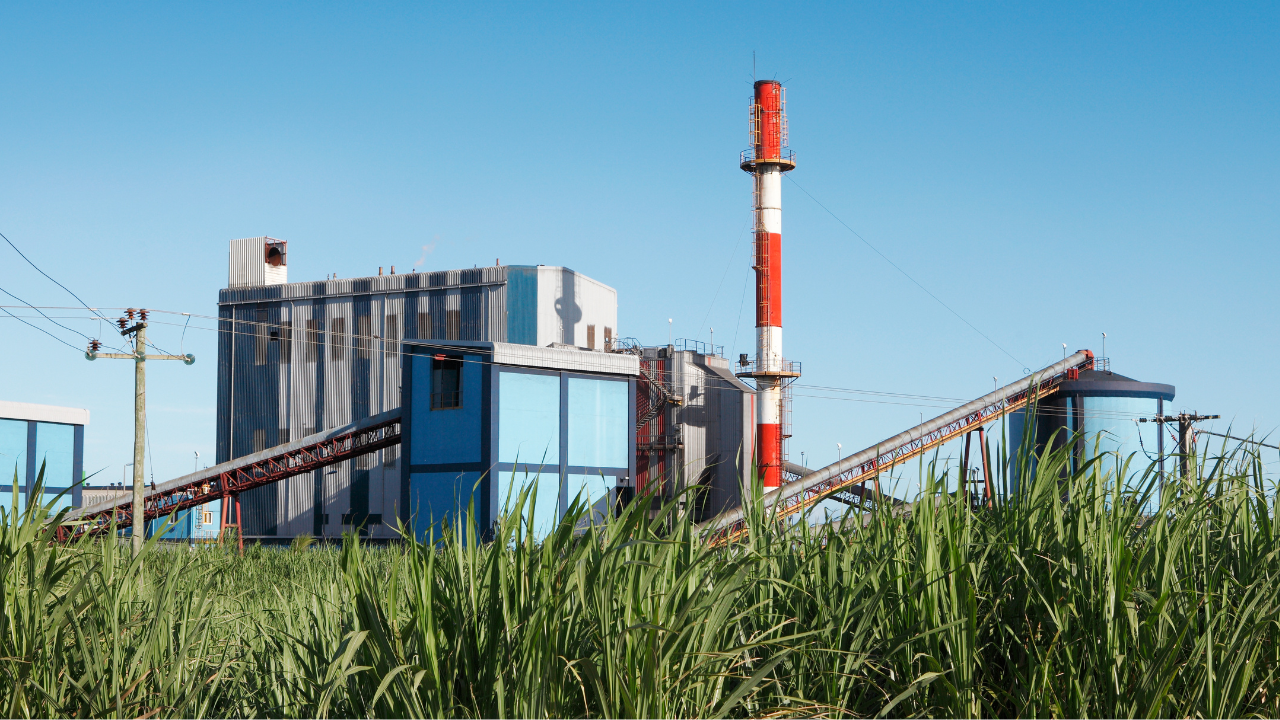 Stainless steel fittings installed in a sugar manufacturing plant